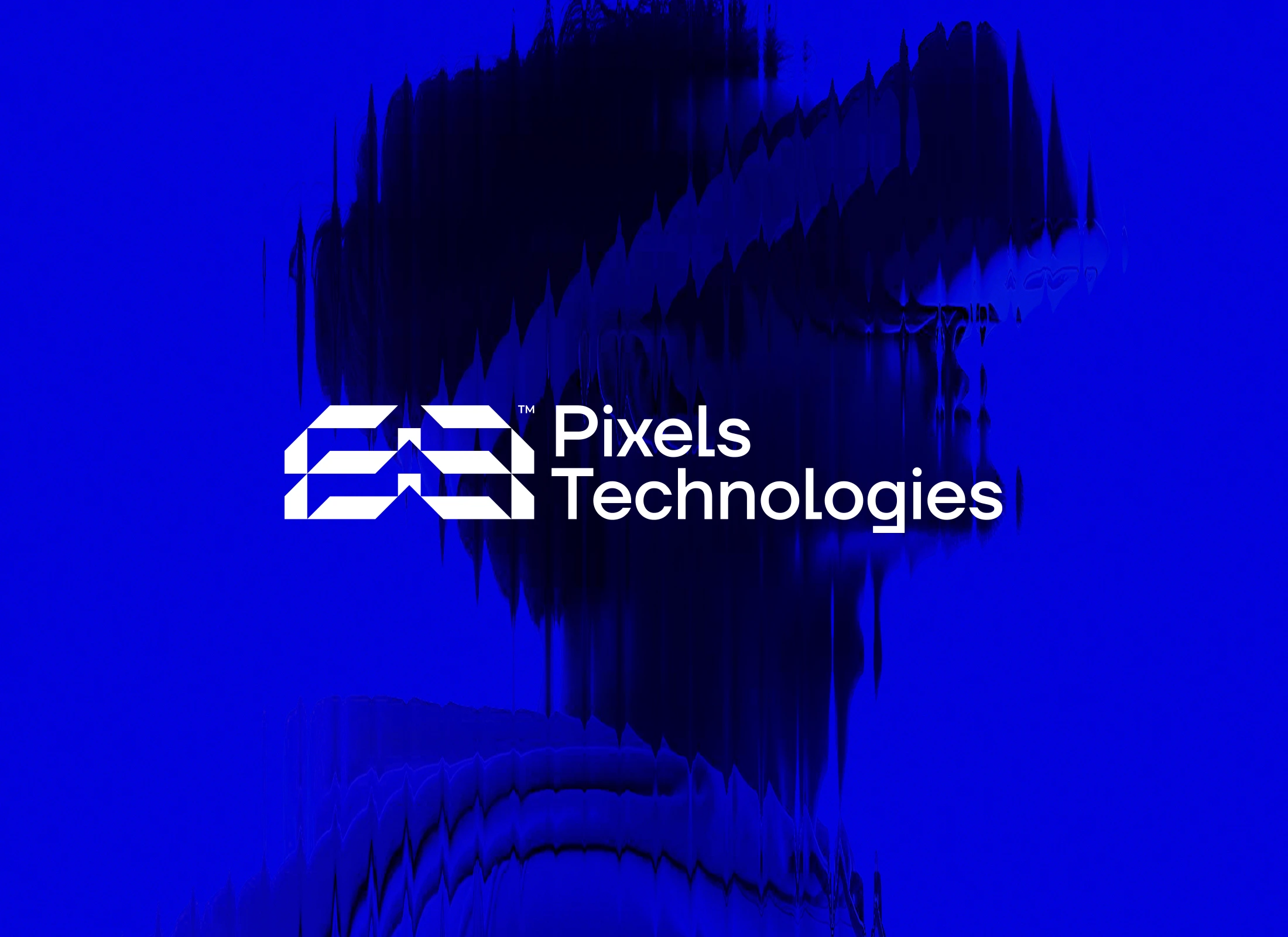 IT Company Brand Identity